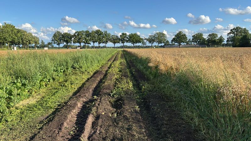 Voorbereidingen 2025 in volle gang