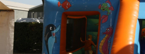 IMG_0242
